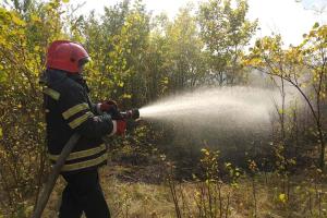 Біля Сєвєродонецьку палає пожежа: можуть обмежити рух (фото)