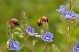 То летняя жара, то осенние дожди: каким регионам ожидать плохой погоды