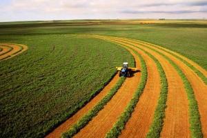 Сельхозпроизводство в Украине снизилось практически на 20%
