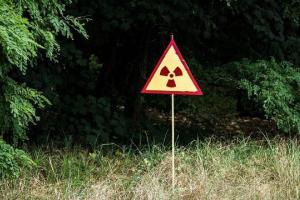 У Чорнобилі помітили небезпечну істоту, з якою краще ніколи не зустрічатися (фото)
