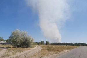 Поблизу Сєвєродонецька загорівся ліс (фото)