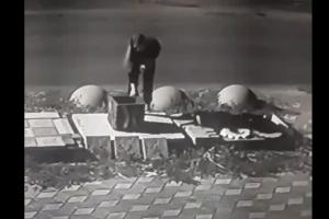 У Лисичанську на відео потрапила юна "принцеса", яка намагалася вкрасти 40-кілограмову урну