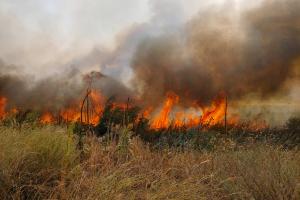 При ликвидации пожара на Луганщине пострадали двое украинских военнослужащих