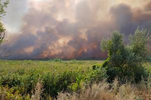 Пожежа на Луганщині не вгамовується: погоріли будинки, є постраждалі та загиблий (фото і відео)