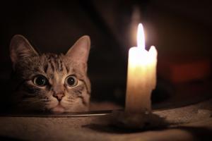 В Лисичанске в сентябре будут отключать свет: названы даты и улицы