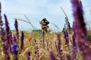 С начала суток на Донбассе режим прекращения огня нарушен не был - ООС