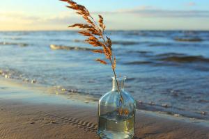 Азовское море покидает родные берега (фото)