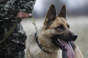 На Луганщині встановили нові режимні обмеження: що заборонено