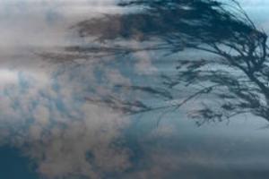 Более 40 населенных пунктов в Украине остались без электричества из-за непогоды