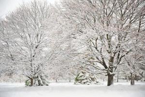Синоптик рассказал, когда Украину завалит снегом