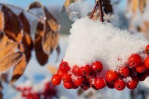 До -13: синоптик назвала регион, жителям которого ждать сильных морозов