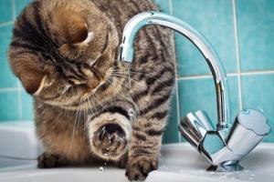 Над Лисичанськом нависло прокляття?: Місто знову без води, а в ремонтні роботи вже мало хто вірить