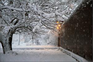 Синоптики рассказали, каких предновогодних "сюрпризов" ожидать от погоды на Луганщине