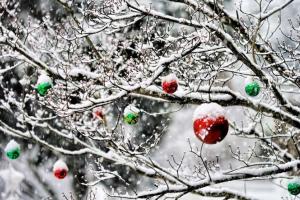 Синоптики рассказали, с какой погодой жители Луганщины встретят Новый год