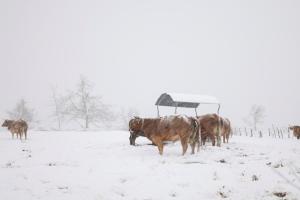 В Испании установлен "морозный" рекорд