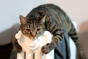 В Украину идут морозы: синоптик рассказала, когда и почему похолодает