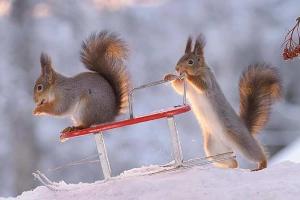 Что творится с погодой?: В Украину идут аномальные морозы