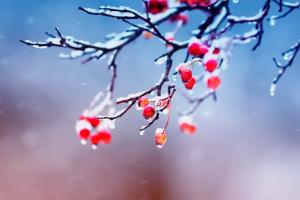 Погода в Україні кардинально зміниться всього за одну ніч