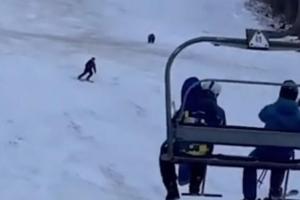 Лижник показав чудеса швидкості, рятуючись від погоні розлюченого ведмедя (відео)
