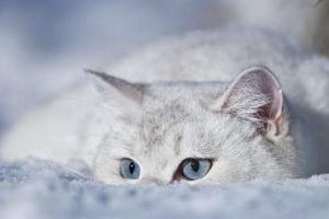 Синоптик назвала регионы, где температура упадет до -30 градусов уже этой ночью