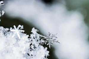 В Украину возвращается зима: какие регионы завалит снегом уже завтра