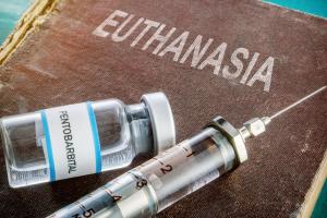 Парламент Португалии проголосовал за легализацию эвтаназии