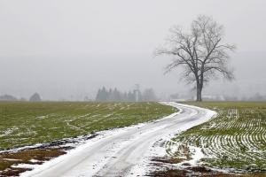 Аномально теплая зима продолжается: синоптик дала новый прогноз