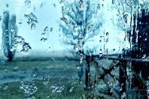 Синоптик назвала регионы, которым дождей не избежать