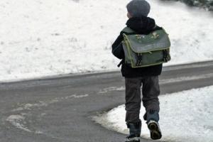 В МОН рекомендуют школам перейти на дистанционное обучение из-за непогоды