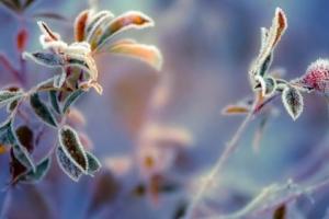 Февраль удивит: синоптик рассказала, с какими неприятностями столкнутся украинцы уже завтра