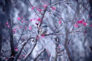 В Украину идет потепление до +16 градусов, но это ненадолго