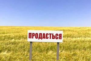 Міністр розповів, скільки коштуватиме гектар української землі після відкриття ринку
