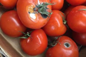 В северодонецком "Сильпо" появилась новая "традиция", которая оскорбила горожан до глубины души (фото)