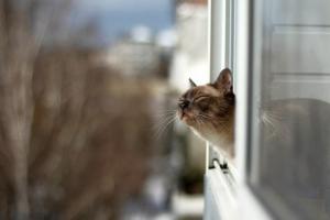 В Україну йде потепління, але пощастить не всім регіонам