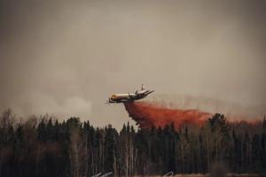 У Канаді горять тисячі гектарів лісу