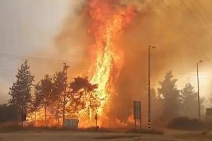 Поблизу Єрусалиму в Ізраїлі спалахнули масштабні пожежі