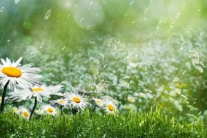 Украину охватит мощный циклон, но вскоре погода кардинально изменится