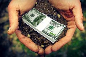 Чи варто зараз продавати свої гектари?: У Мінагро дали прогноз щодо зростання ціни на землю в Україні