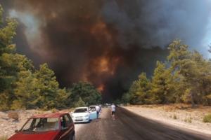 Понад 50 жителів турецької Анталії постраждали від масштабної лісової пожежі