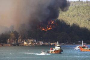 Украинцев призвали воздержаться от поездок в Турцию из-за масштабных пожаров