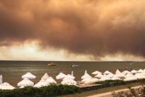 У турецькій Анталії заборонили відвідувати ліси через масштабні пожежі