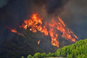 Україна направляє до Греції рятувальників для боротьби з лісовими пожежами