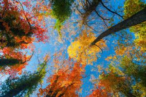 Синоптик подробно рассказал, какой будет осень в Украине в этом году