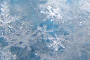 В Финляндии выпал первый в этом году снег