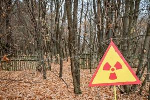 У Чорнобильській зоні виявили дивну аномалію (фото)