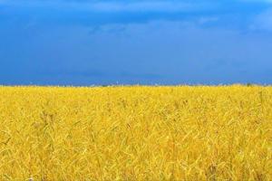 Украинцы будут отмечать еще один новый праздник