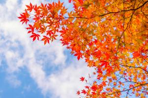 На Луганщину насуваються дощі та сильне потепління