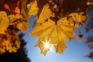 На Луганщину йде стрімке та сильне потепління