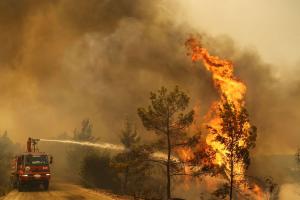 Південний захід Туреччини знову охопили лісові пожежі