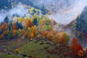 В українських Карпатах стався землетрус